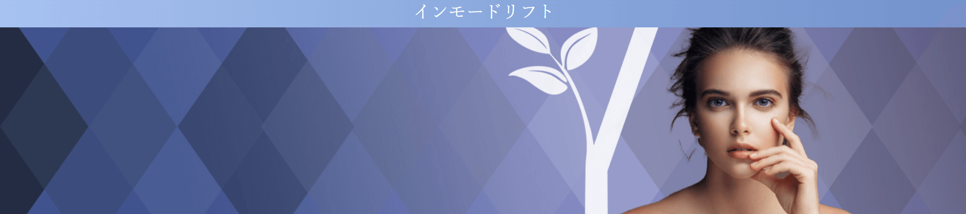 スキンクリニック山本皮フ科　インモード名古屋